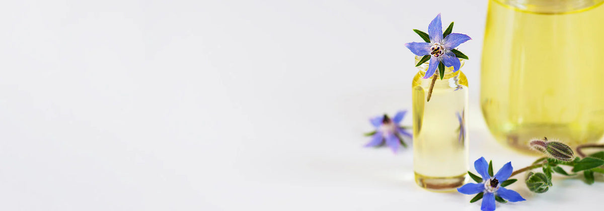 Promotion banner