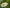 Promotion banner