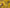 Promotion banner