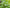 Promotion banner